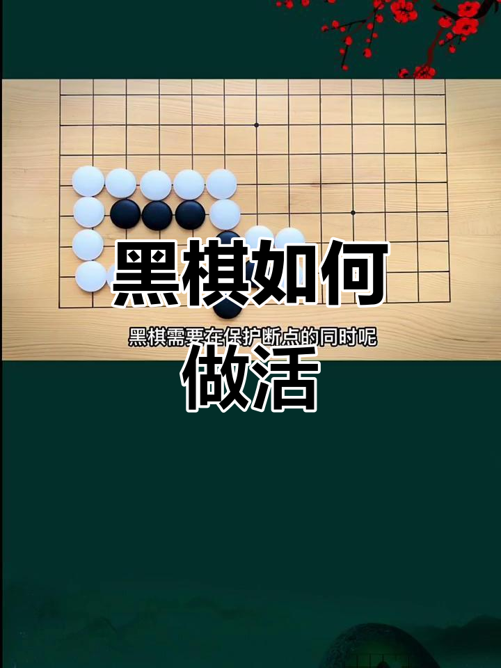 黑棋(黑棋500)